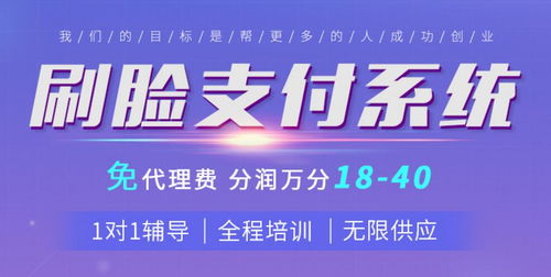 代理刷臉支付在電子產品銷售中的共同目標